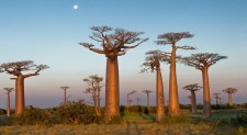 Giornata della Bellezza Sostenibile per il Madagascar. Intervista all’AD Salon di Benevento