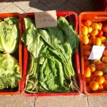 pietrelcina-mercatino-km-zero4
