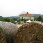 savoia-tufara13