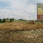 savoia-tufara