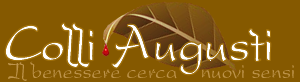 colli augusti logo