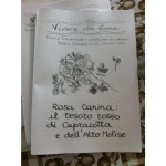 rosa-canina4-daniela-severgnini