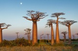 Giornata della Bellezza Sostenibile per il Madagascar. Intervista all’AD Salon di Benevento