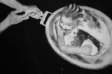 Cacciatore di bolle, di Vincenzo Cosenza, in mostra. Dal 15 marzo, Casa di Schiele. Coerenze:16/20