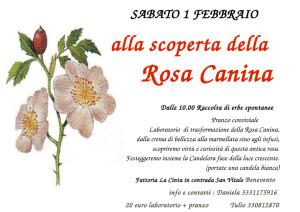 locandina-rosa-canina