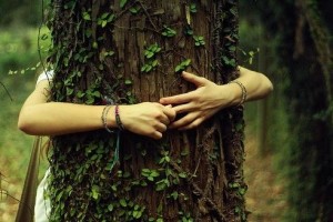 abbracciare alberi