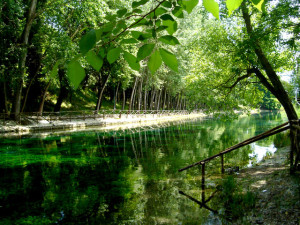 parco grassano san salvatore t.