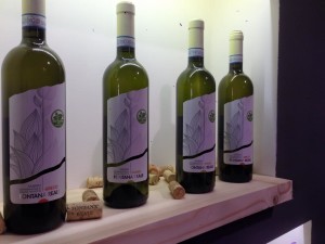 vino bio vegan fontana reale benevento