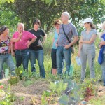 Giornata P'Artigianale, domenica 31 maggio, presso Mariapia Cutillo, San Salvatore Telesino - Foto di Domenico Rapuano