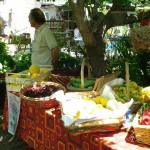 Giornata P'Artigianale, domenica 31 maggio, presso Mariapia Cutillo, San Salvatore Telesino - Foto di Filomena Grimaldi